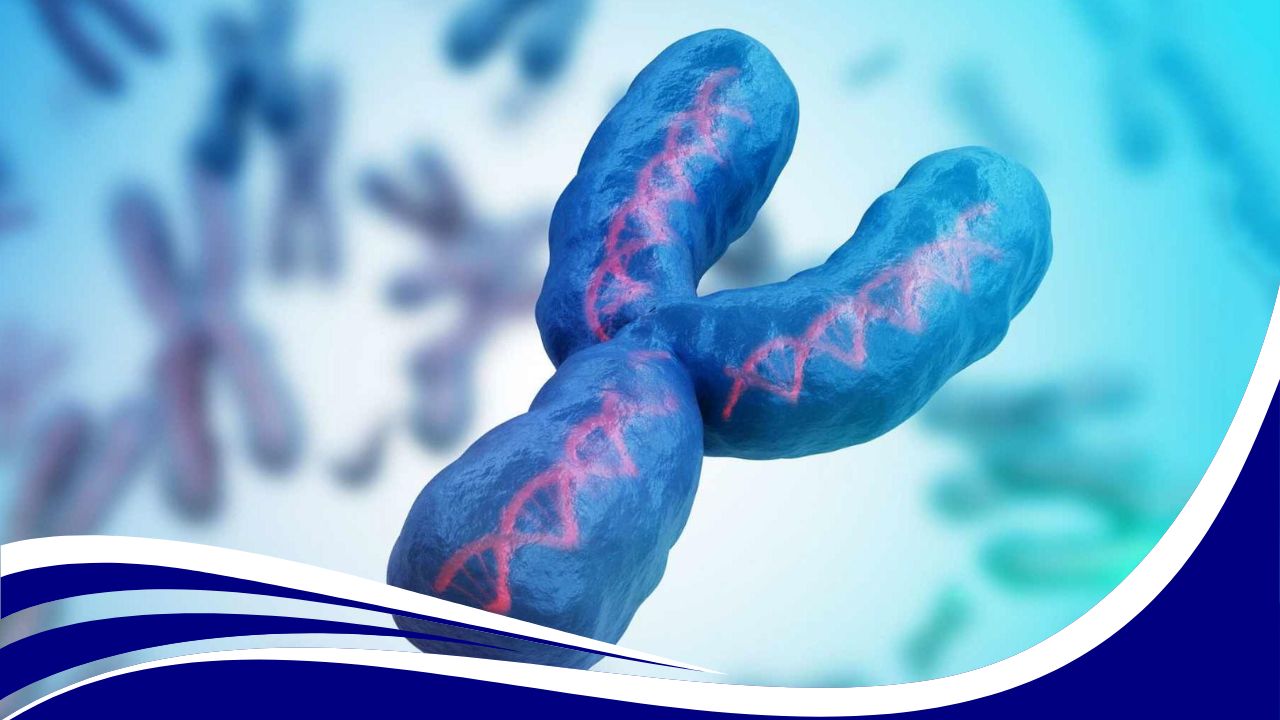 বিভিন্ন প্রাণী ও উদ্ভিদের ক্রোমোজোম সংখ্যা PDF